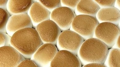 Peanut Butter S'mores Dip