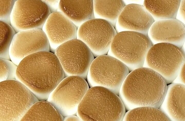 Peanut Butter S'mores Dip