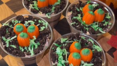 Pumpkin Patch Dirt Cups