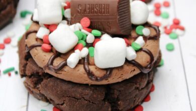 Frosted Hot Cocoa Cookies