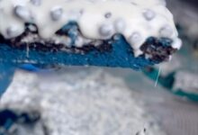 Cookie Monster Brownies