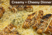 Creamy chicken alfredo casserole baked with penne pasta and parmesan cheese